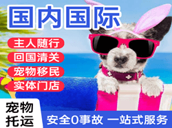 湘西边城机场物流国际宠物托运 【国